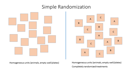 Simple Randomization