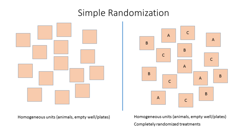 File:Simple Randomization.png