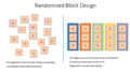 Randomized Block Design.png