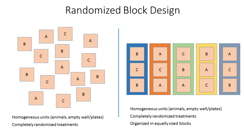 File:Randomized Block Design.png
